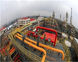 安徽淮南田集電廠